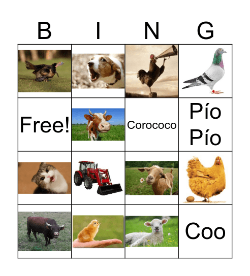 Pollito Pío Bingo Card