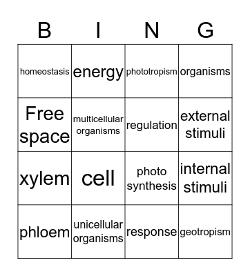 plant bingo. Bingo Card