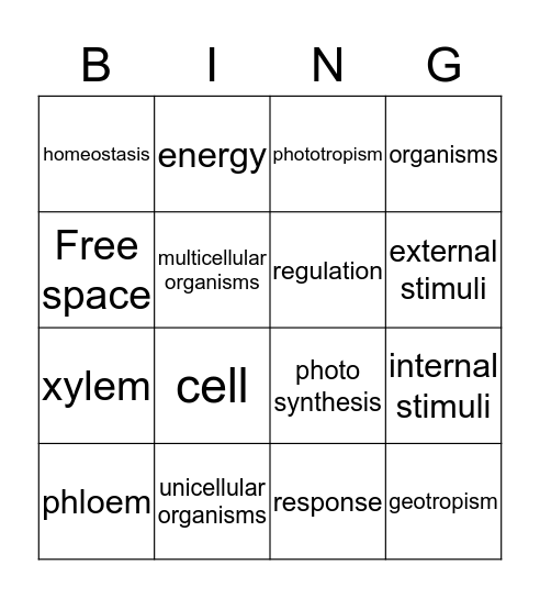 plant bingo. Bingo Card