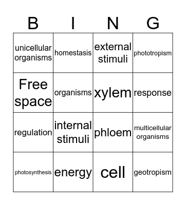 plant bingo. Bingo Card