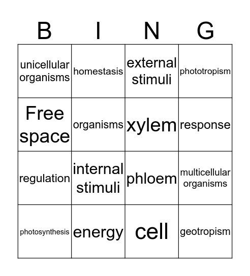 plant bingo. Bingo Card