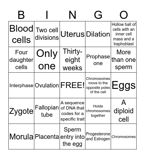 Pregnancy and Meiosis Bingo Card