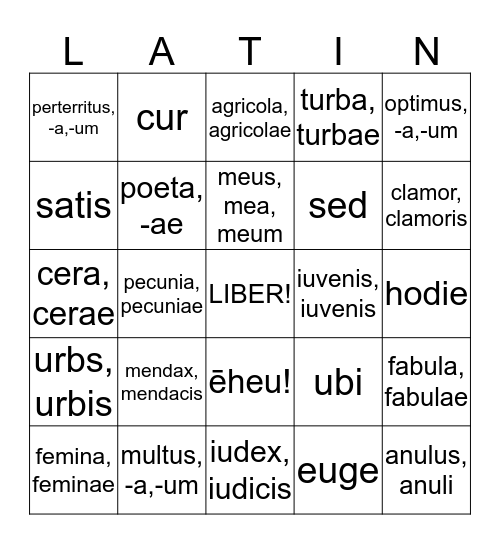 Cambridge Latin Course Stage 4-5 Bingo Card