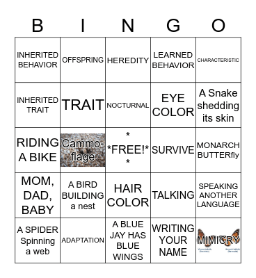 Voc. List #18 BINGO Card