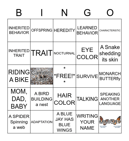 Voc. List #18 BINGO Card