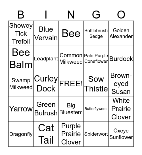 Native Plant Bingo Card