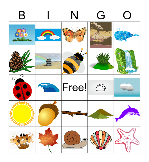 NATURE EXPLORERS PROGRAM Bingo Card