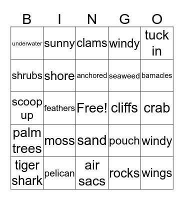 Ecology 1/2 & 3/4 Bingo Card