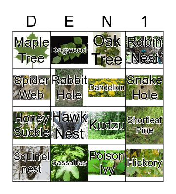 Nature Walk Bingo Card