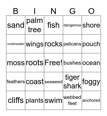 3/4  Pelicans and sharks Bingo Card