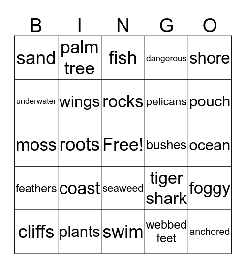 3/4  Pelicans and sharks Bingo Card