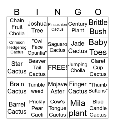 Desert Bingo! Bingo Card