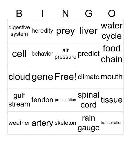 Vocabulary Review Bingo Card