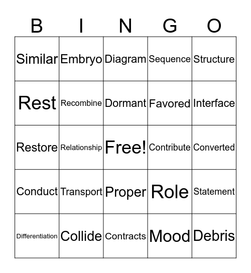 Words Bingo Card