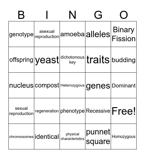 Unit 10 Bingo Card