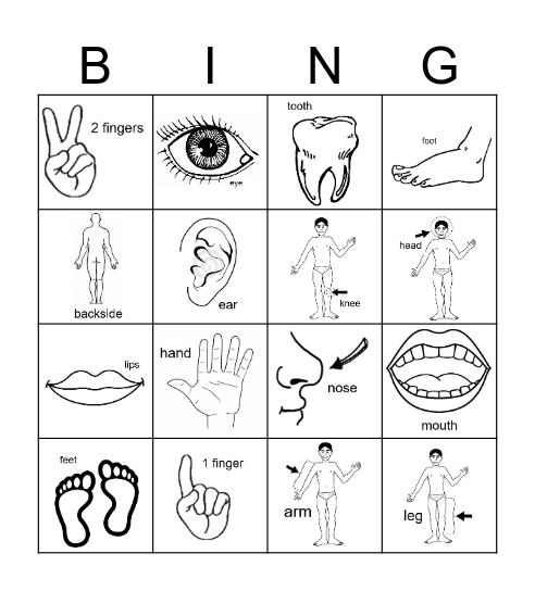 Body Parts Bingo Card