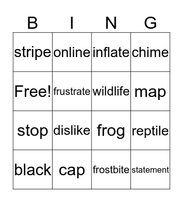 v-e WORDS Bingo Card