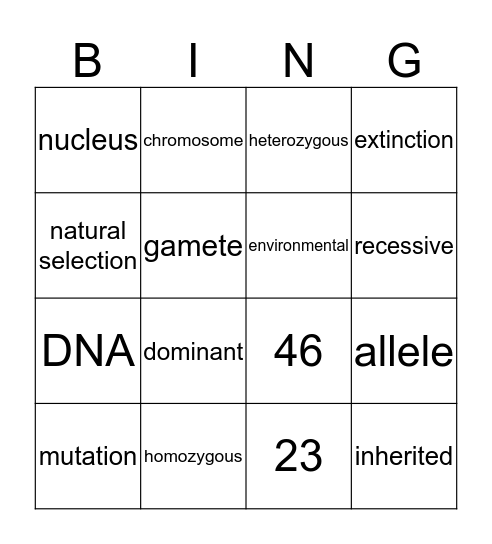 Adaptation and Inheritance Bingo Card