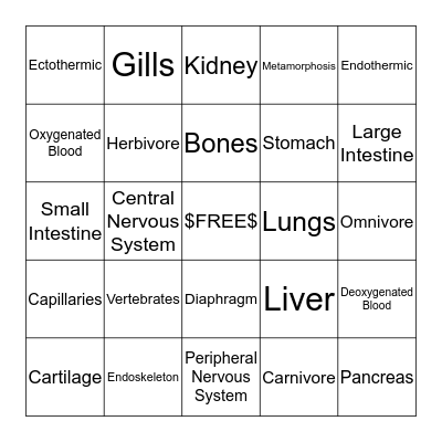 #Vertebrate Bingo# Bingo Card