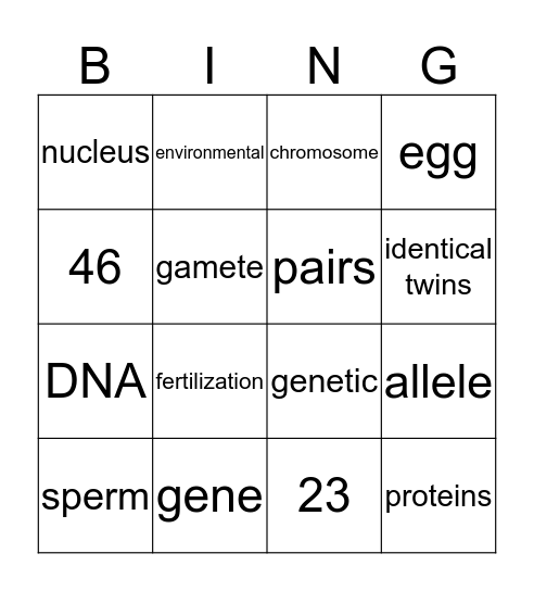 Inheritance Bingo Card