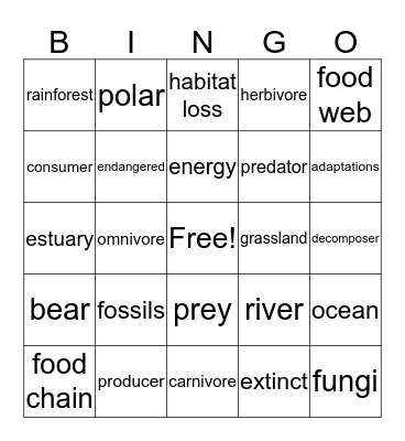 Environments and Habitats Bingo Card