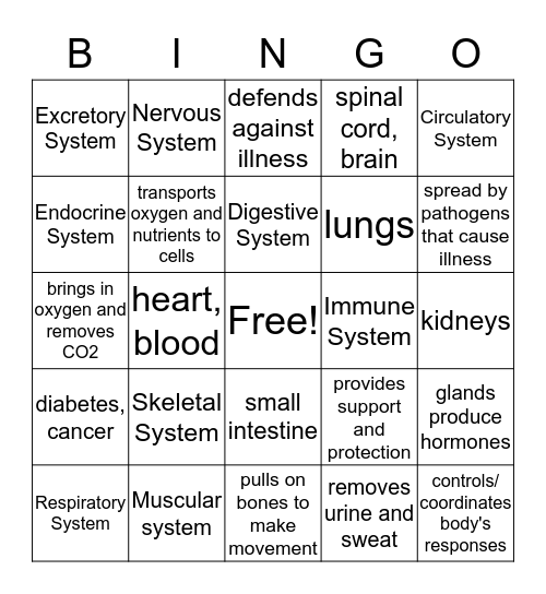 Systems Review Bingo Card