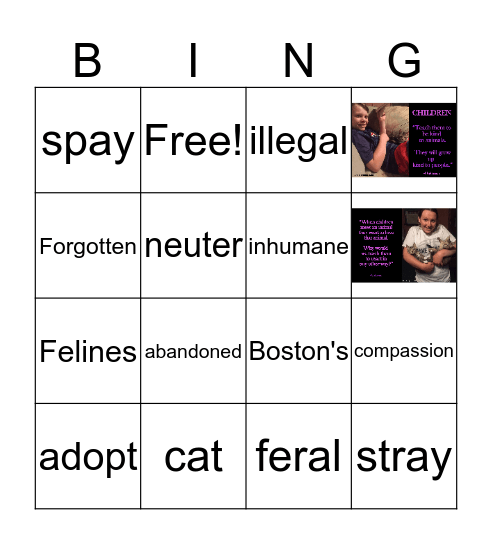 BOSTON'S FORGOTTEN FELINES  Bingo Card