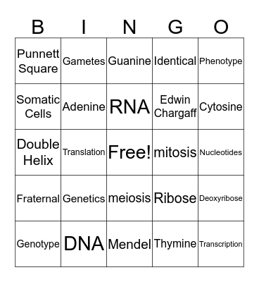 Genetics  Bingo Card