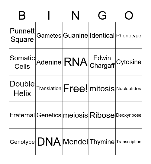 Genetics  Bingo Card