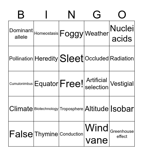 Final Bingo Card