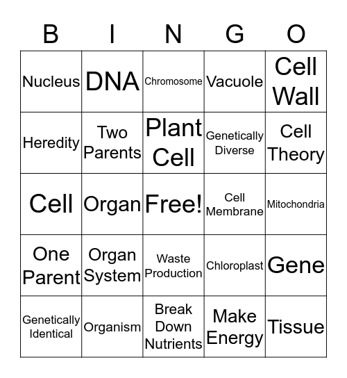 EOY Review Bingo # 1 Bingo Card