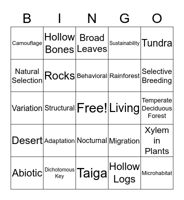 EOY Review Bingo # 3 Bingo Card