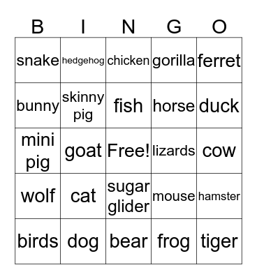 animals  Bingo Card