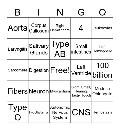 Anatomy Bingo Card