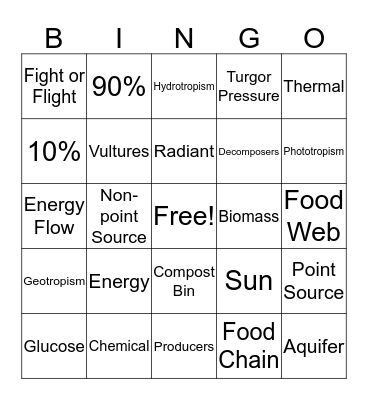 EOY Review Bingo # 5 Bingo Card