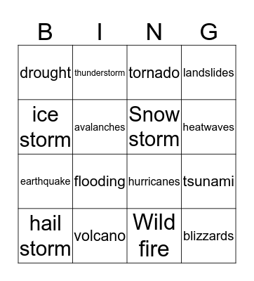 Natural Disasters Bingo Card