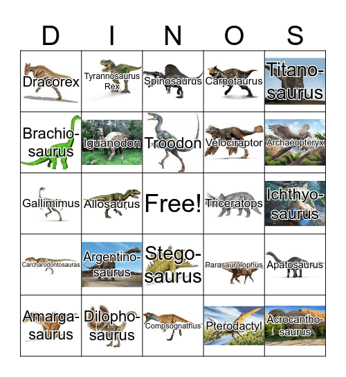 Dinosaurs Bingo Card