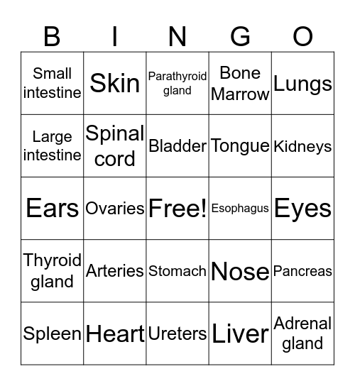 Organs of the Body Bingo Card