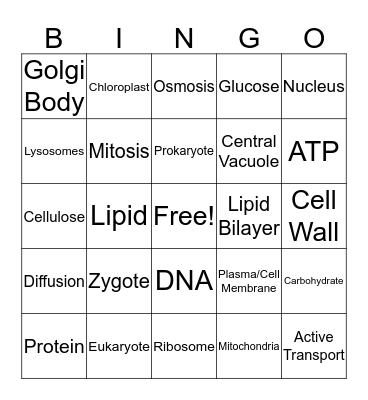 I Love Biology Bingo Card