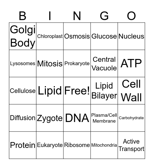 I Love Biology Bingo Card