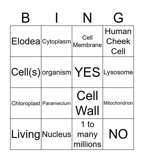 CELL Bingo Card