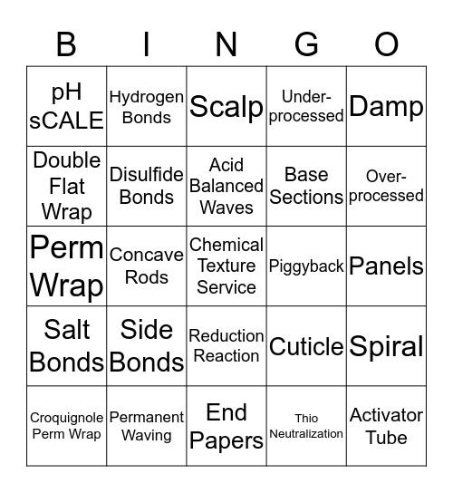 CH. 20 CHEMICAL TEXTURE SERVICES-PERMS Bingo Card
