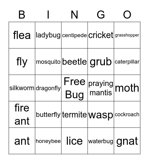 Insect Bingo Card