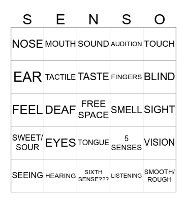 SENSO!!!! Bingo Card