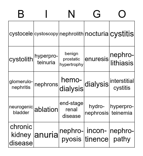 Urinary System Chapter 9 Part 1 Bingo Card