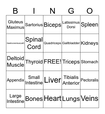 Medical Bingo Card