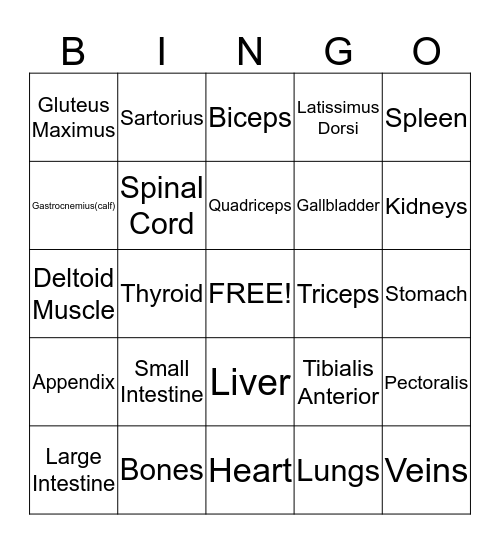 Medical Bingo Card