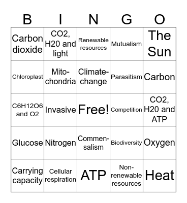 Ecology Bingo Card