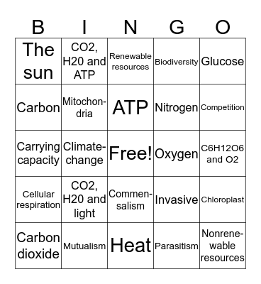 Ecology Bingo Card