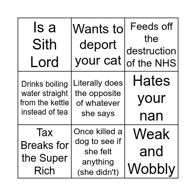Theresa May Bingo Card